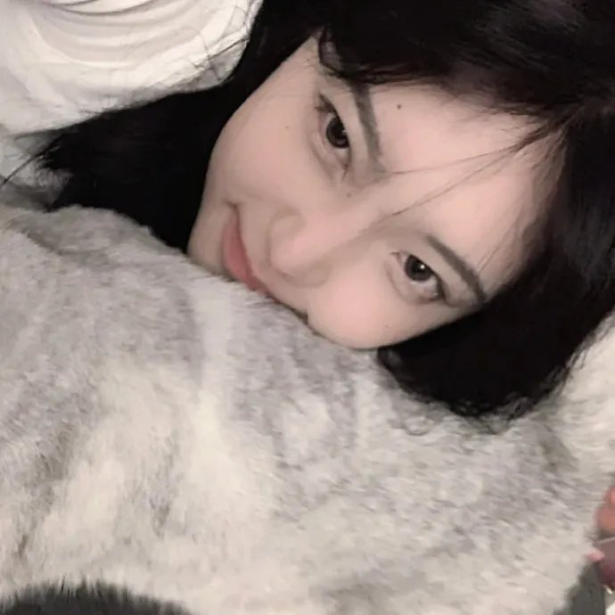 多情的野猫